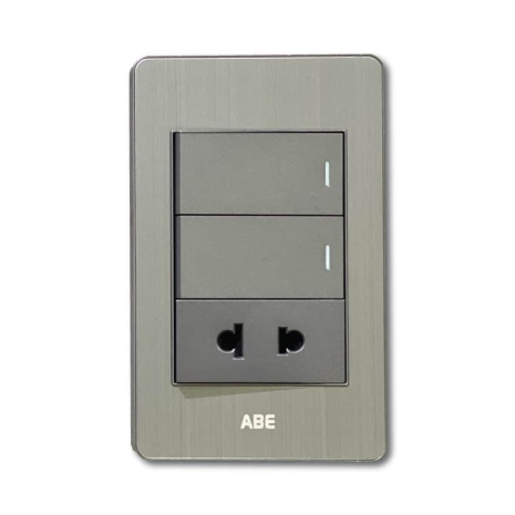 Công tắc đôi kèm Ổ cắm đơn Satin B B1-21C-D2C 