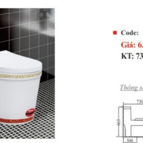 Bồn Cầu Kassani Cao Cấp Hiện Đại KS-2395M-1