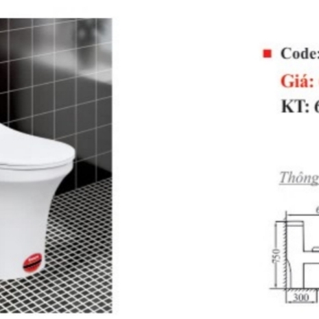 Bồn Cầu Kassani KS- 8813M Chất lượng giá rẻ