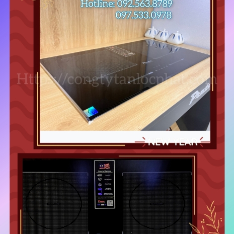 Bếp Từ PraTo Hiện Đại Thiết Bị Nhà Bếp Chuẩn Châu Âu Sang Trọng 006